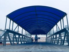 -丹东路渡口(轮渡站)