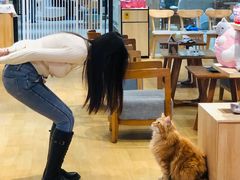 -藏猫猫咖啡主题馆(中央大道店)