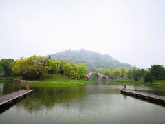 -绍兴镜湖国家城市湿地公园