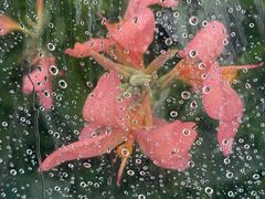 -苏州河梦清园环保主题公园