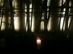 android_upload_pic-上海璞麗酒店