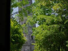 -上海佘山国家森林公园天马山园