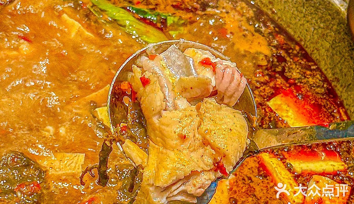 在厦门！这家麻椒鱼真的没让我失望‼️