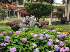 -南京中国近代史遗址博物馆(南京总统府)