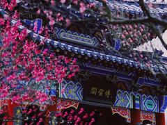 -梅花山(明孝陵内)