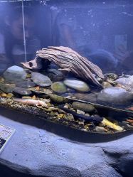 -Zoolung Zoolung动物主题公园(海信广场店)