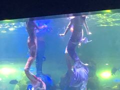 -重庆欢乐海底世界