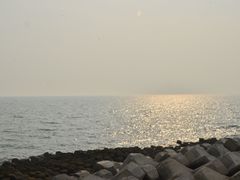-东堤公园