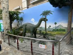 -国家自然博物馆