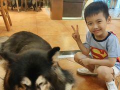 -more than meow吴止猫主题餐厅(承德 中船汇店)