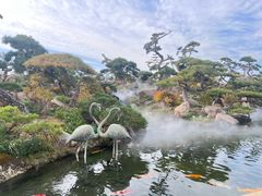 -罗红摄影艺术馆