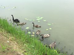 -江南大学(蠡湖校区)