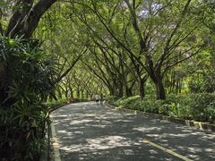 -大屏嶂森林公园