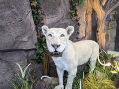 -西霞口神雕山野生动物世界