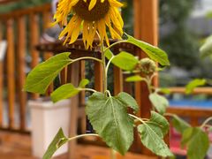 -馥家小馆(黔灵山公园店)