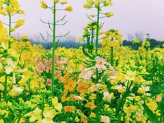 -崔岗艺术村