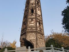 -上海佘山国家森林公园天马山园