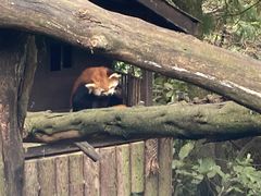 -云南野生动物园