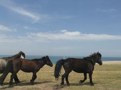 -青海湖国家重点风景名胜区