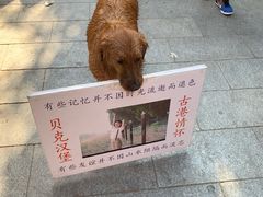 -黄埔古港
