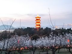 -云龙山
