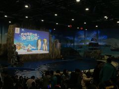 -华夏文旅海洋公园