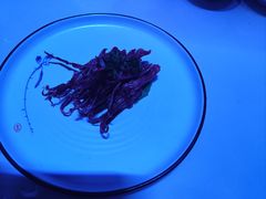 -同庆楼(花园店)