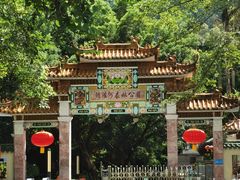 -广州市流溪河国家森林公园