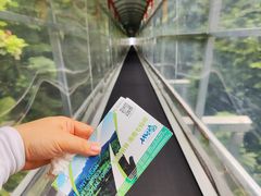 -七仙岭温泉国家森林公园