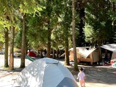 -武陵山森林公园