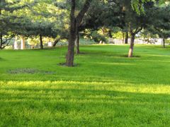 -元大都城垣遗址公园