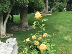 -南京东郊国宾馆