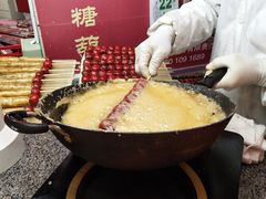 -和禄德冰糖葫芦