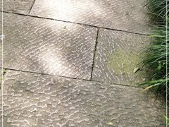 -古韵餐厅(湖畔大学店)