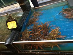-万宝海鲜舫(劳动公园店)