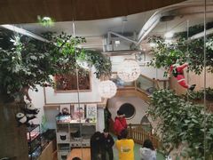 -藦茜花园宠物主题亲子互动体验馆(国顺东路店)