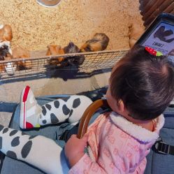 -酷嗒动物文化乐园(cutezoo西溪乐天城店)