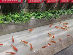 -辣不二地道川菜(汉水路店)