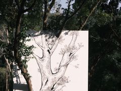 -莲花山公园