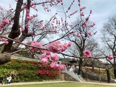 -红螺寺