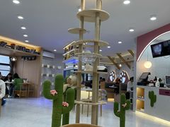 大堂-喵园·猫主题咖啡厅·撸猫·猫咖(国贸店)