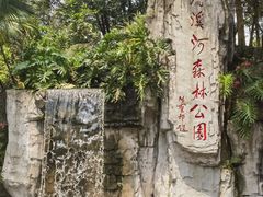 -广州市流溪河国家森林公园