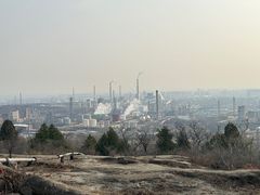 -白水寺森林公园