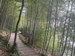 -天目湖涵田度假村