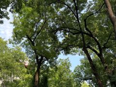 -山东大学(趵突泉校区)