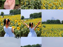 -苏州湾体育公园