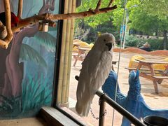 -辛玛王国游乐园