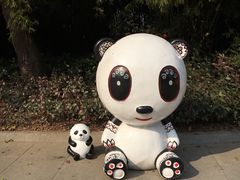 -成都大熊猫繁育研究基地