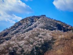 -龙泉峪长城
