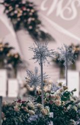 -保定金沙芝柏婚礼策划